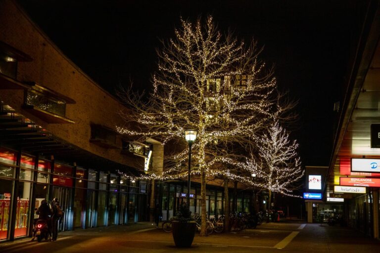 Professionele boomverlichting laten plaatsen: verlichte bomen creëren sfeervolle blikvangers in winkelstraten en openbare rui